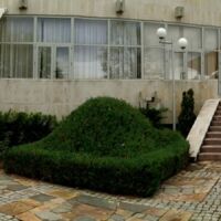 Озеленяване услуги