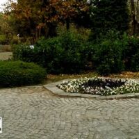 Озеленяване услуги