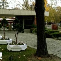 Озеленяване услуги