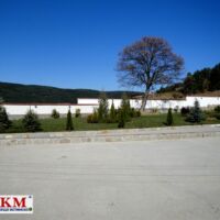 Услуги озеленяване