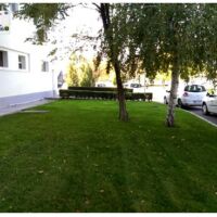 Озеленяване Пловдив услуги