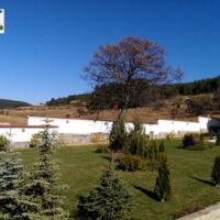 Услуги озеленяване пловдив