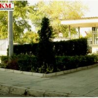 Озеленяване Пловдив услуги