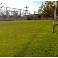 Озеленяване Пловдив услуги