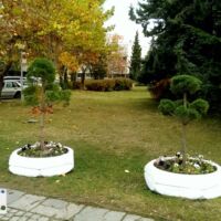 Озеленяване Пловдив услуги