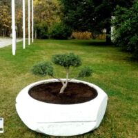 Озеленяване Пловдив услуги