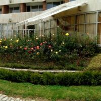 Озеленяване услуги